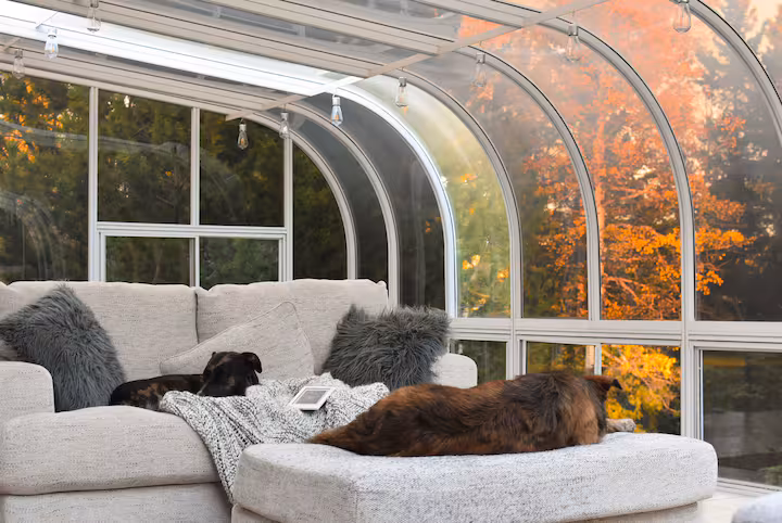 Willow House glass sunroom with two dogs resting on a sofa